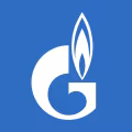 4G logo